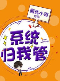 系统归我管/搬砖小哥